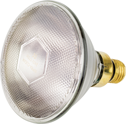 Intelec® PAR38 Glass Infra-Red Bulbs, Clear, 175 Watt
